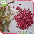 Dried Dark Red Kidney Beans